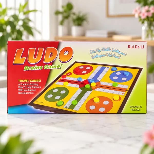 Magnetic Ludo Brain Game